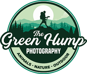 The Green Hump