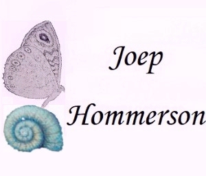 Joep Hommerson